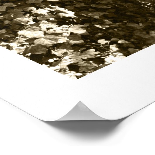 Tree Fine Art Foto Schwarz-weiß Sepia Los Angeles Poster (Ecke)