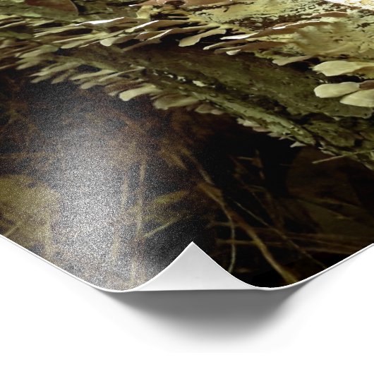 Tree Fins Fotodruck (Ecke)