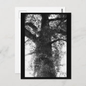 Tree Fotografy Postcard Postkarte (Vorne/Hinten)