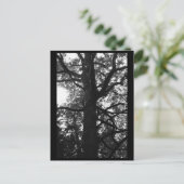 Tree Fotografy Postcard Postkarte (Stehend Vorderseite)