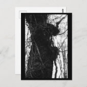 Tree Fotografy Postcard Postkarte (Vorne/Hinten)