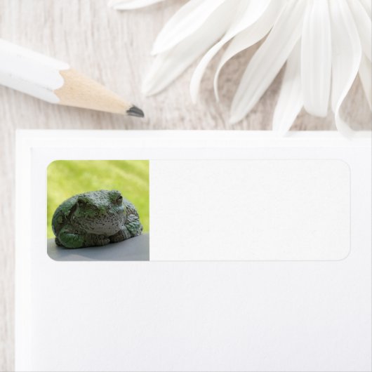 Tree Frog Adressetiketten (Insitu)