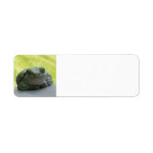 Tree Frog Adressetiketten (Vorne)