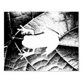 Tree Frog auf Leaf-Kautschuk-Briefmarke Gummistempel (Prägung)