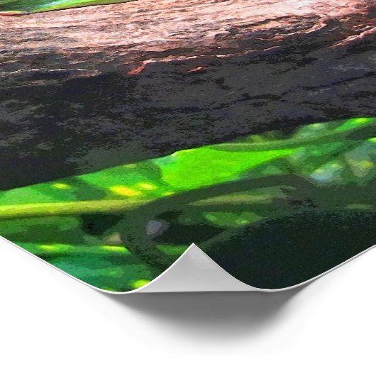 Tree Frog CB Poster (Ecke)