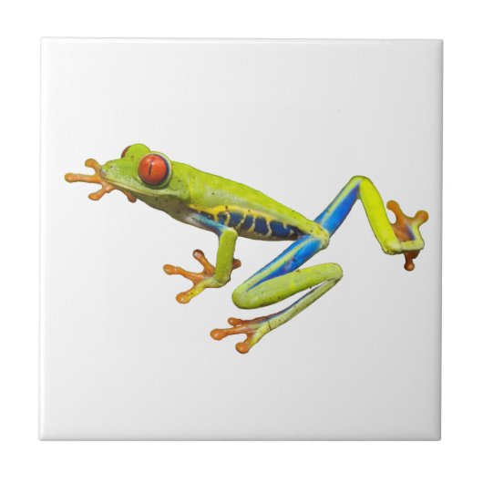 Tree Frog Fliese (Vorderseite)