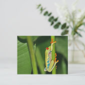 Tree Frog Foto Postkarte (Stehend Vorderseite)