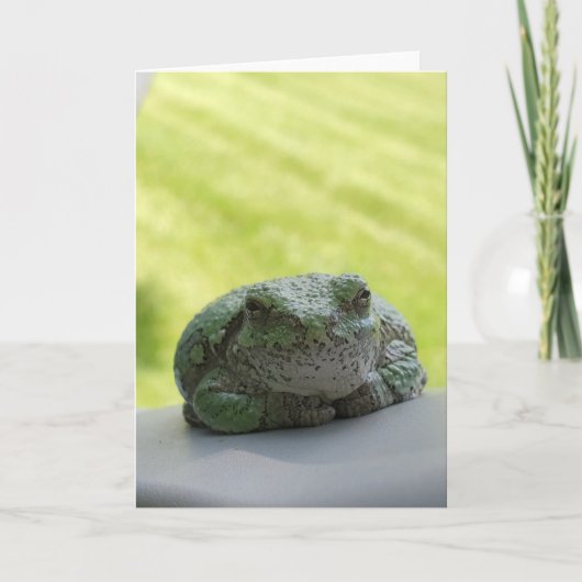 Tree Frog Grußkarte Karte (Vorderseite)