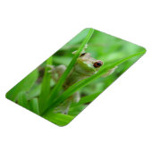 Tree Frog-Haltung im Flexi-Magnet Magnet (Linke Seite)