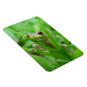 Tree Frog-Haltung im Flexi-Magnet Magnet (Rechte Seite)