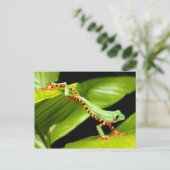 Tree Frog Jump Postkarte (Stehend Vorderseite)