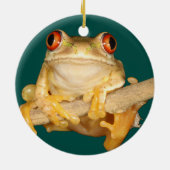 Tree Frog Keramik Ornament (Hinten)