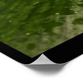 Tree Frog - Knowsley Safari Park Poster (Ecke)