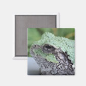 Tree Frog Magnet (Vorderseite/Rückseite)