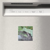 Tree Frog Magnet (In Situ (Geschirrspüler))