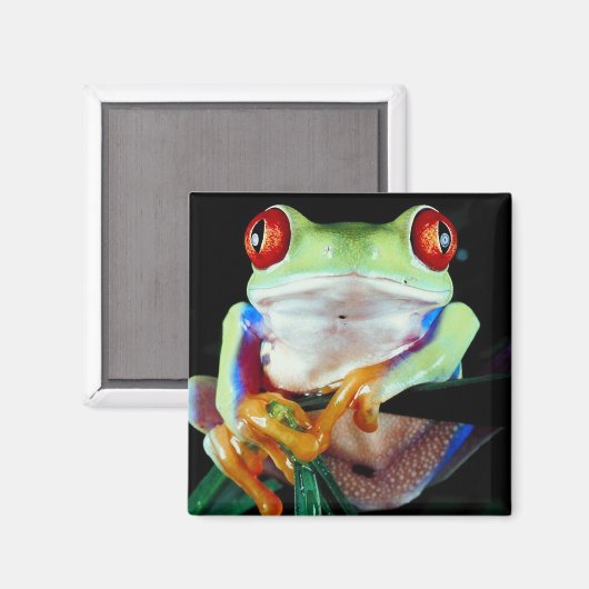 Tree Frog Magnet (Vorderseite/Rückseite)