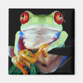 Tree Frog Magnet (Vorne)