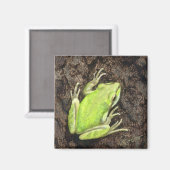 Tree Frog Magnet - "Envy Green" (Vorderseite/Rückseite)