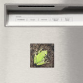 Tree Frog Magnet - "Envy Green" (In Situ (Geschirrspüler))