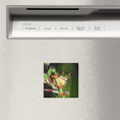 Tree Frog-Magnet Magnet (In Situ (Geschirrspüler))