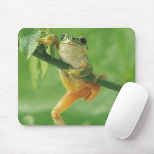 Tree Frog Mousepad (Mit Mouse)