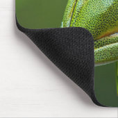 Tree Frog Mousepad (Ecke)