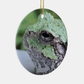Tree Frog Ornament (Rechts)