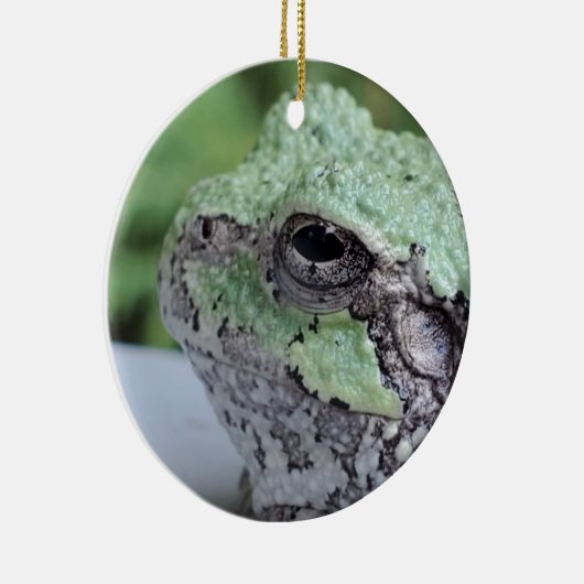 Tree Frog Ornament (Rechts)