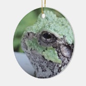 Tree Frog Ornament (Links)