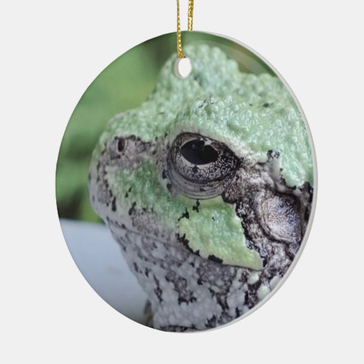 Tree Frog Ornament (Links)