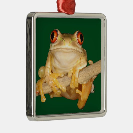 Tree Frog Ornament Aus Metall (Rechts)