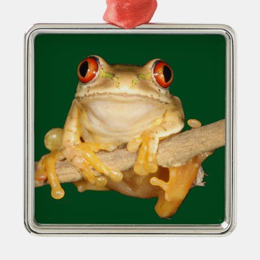 Tree Frog Ornament Aus Metall (Vorne)