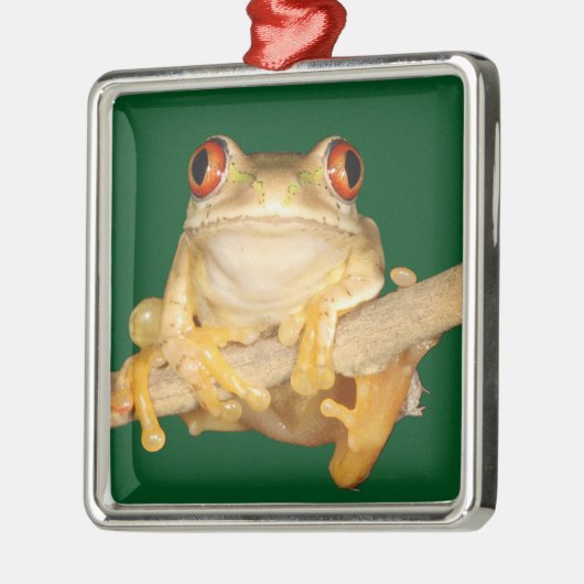 Tree Frog Ornament Aus Metall (Links)