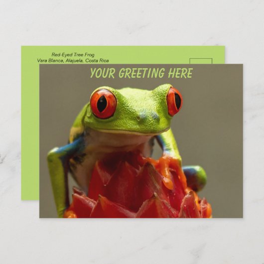 Tree Frog Personalisiert Postkarte (Vorne/Hinten)