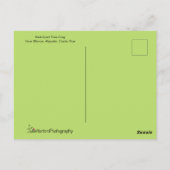 Tree Frog Personalisiert Postkarte (Rückseite)