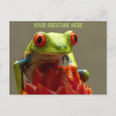 Tree Frog Personalisiert Postkarte (Vorderseite)