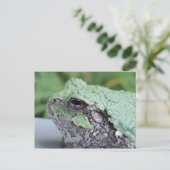 Tree Frog Postcard Postkarte (Stehend Vorderseite)