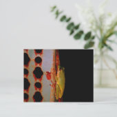 Tree Frog Postcard Postkarte (Stehend Vorderseite)