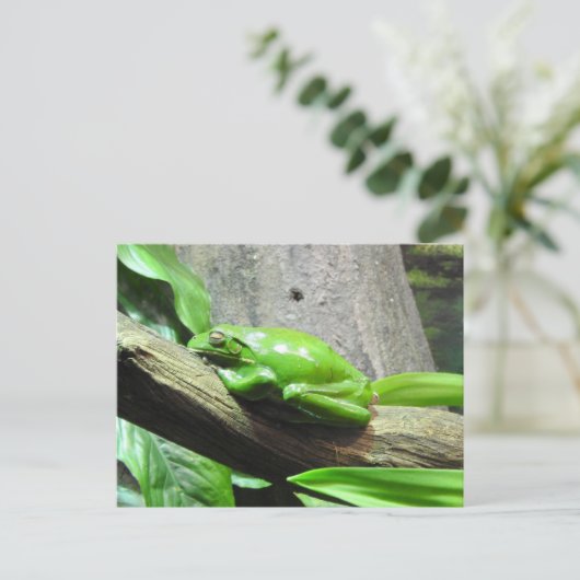 Tree Frog Postcard Postkarte (Stehend Vorderseite)