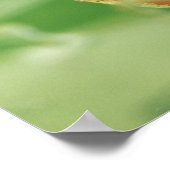 Tree Frog Poster (Ecke)