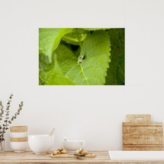 Tree Frog Poster (Küche)