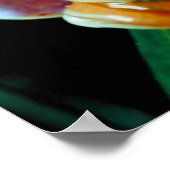 Tree Frog Poster (Ecke)