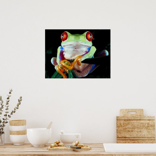 Tree Frog Poster (Küche)