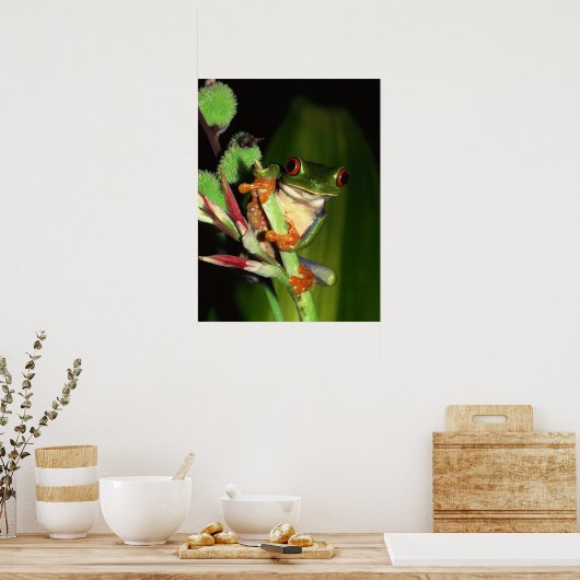 Tree Frog Poster (Küche)