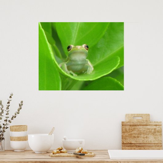 Tree Frog Poster (Küche)