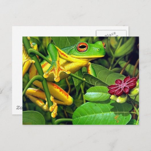 Tree Frog Postkarte (Vorne/Hinten)