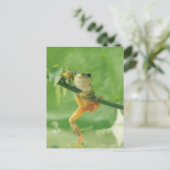 Tree Frog Postkarte (Stehend Vorderseite)