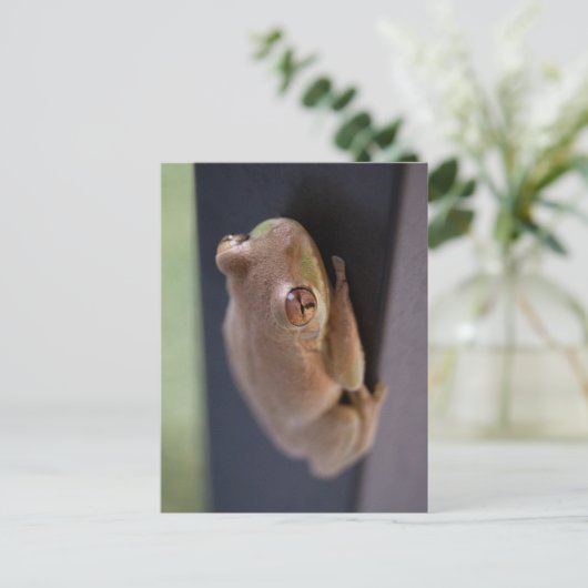 Tree Frog Postkarte (Stehend Vorderseite)