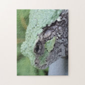 Tree Frog Puzzle (Vertikal)