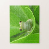 Tree Frog Puzzle (Vertikal)
